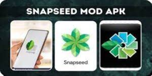 Snapseed MOD APK Latest version For Free Download 2024 
